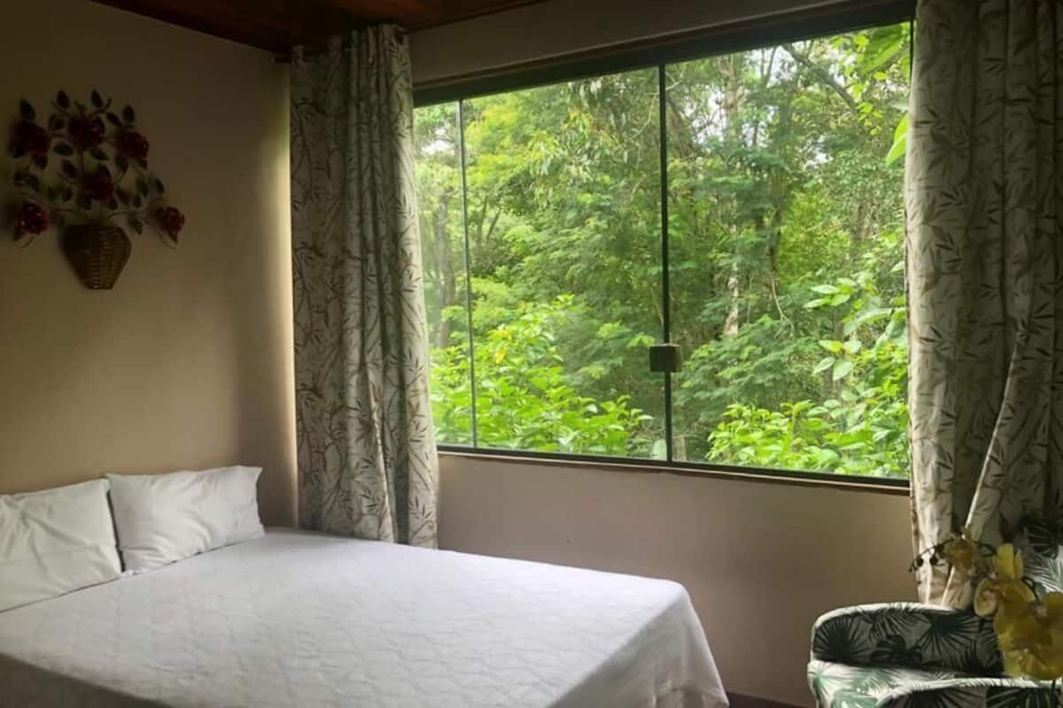 Una habitación con cama, ventana con cortinas, planta en la pared y una silla con cojín.