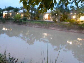 Uklassifisert bilde, 2 av 16, knapp