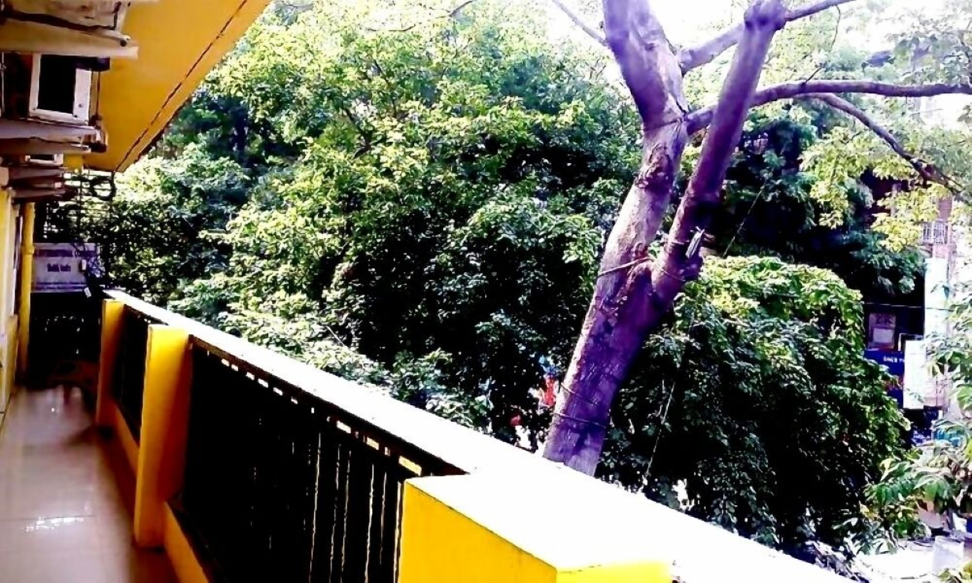 Balcony view