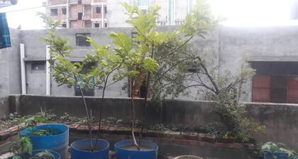 Serviced Apartment Near Dhanmondi