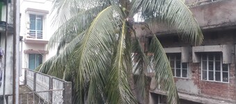 Serviced Apartment Near Dhanmondi