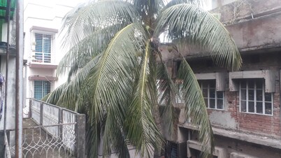 Serviced Apartment Near Dhanmondi