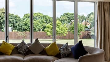 60-inch flat-screen TV with satellite channels, TV, DVD player