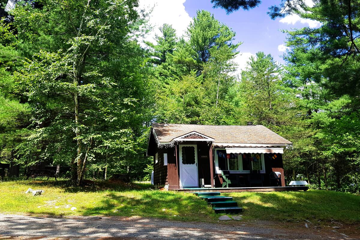 A small cabin with a porch, surrounded by dense forest.