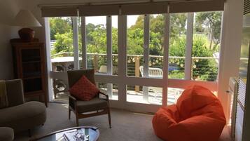 TV, video games, DVD player, books