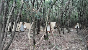 A forested area with several tents set up among trees. - Robinson camp Val Kavran (Kavran)