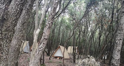 Camp Robinson Val Kavran