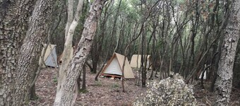 Robinson camp Val Kavran