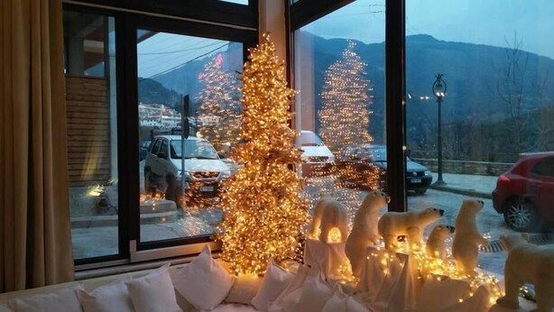 A room with a large window overlooking a street with Christmas trees and parked cars.