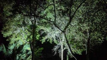 Villa Premium | Vue sur le jardin