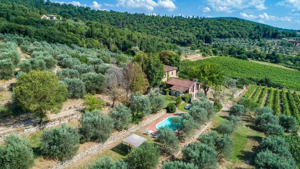 Eine Villa, umgeben von Olivenhainen, einem Swimmingpool und Weinbergen.