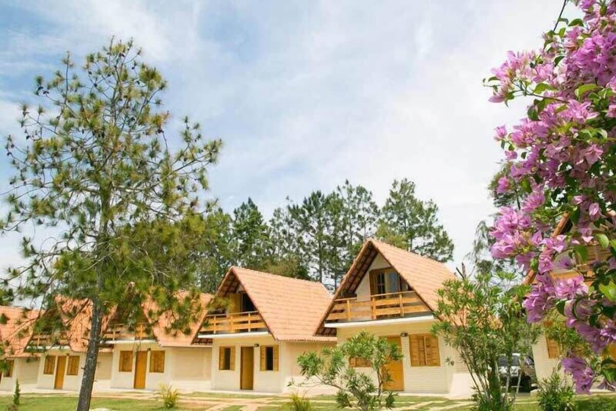 A row of cabins with pitched roofs and wooden balconies, surrounded by greenery and flowering plants.