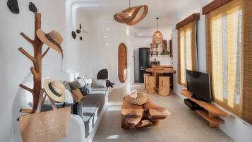 Smart TV, fireplace, books, stereo