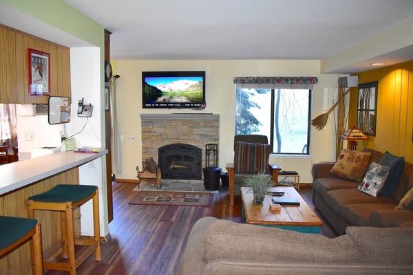 Living room, fireplace and large flat screen TV