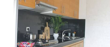 Fridge, oven, stovetop, electric kettle