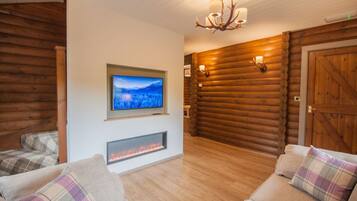 TV, fireplace, video games