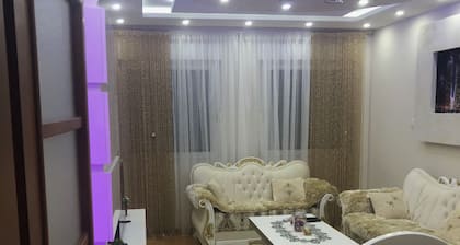 Luxury Apartment
