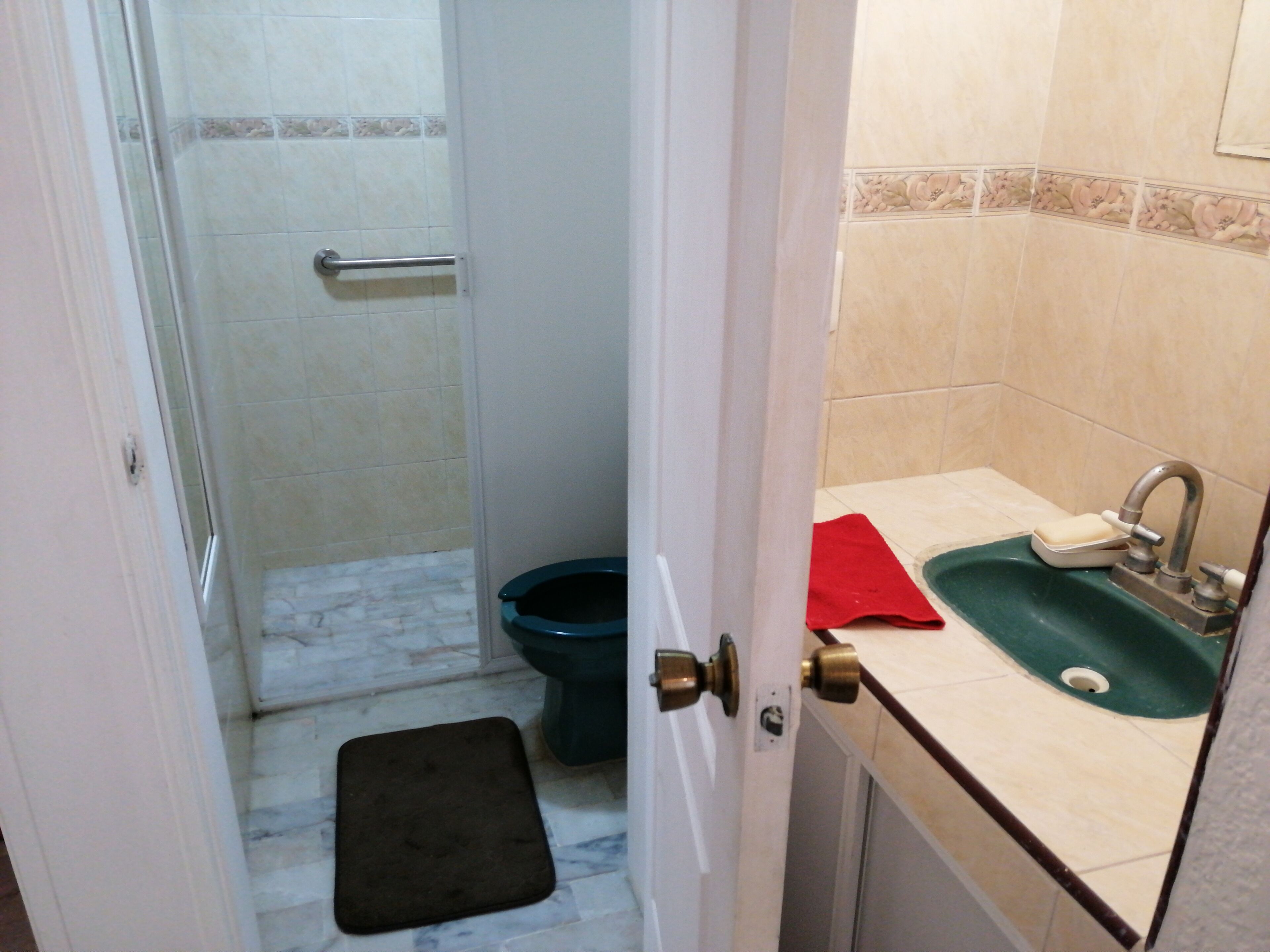 Une salle de bain avec une douche, des toilettes, un lavabo et un petit tapis sur le sol.