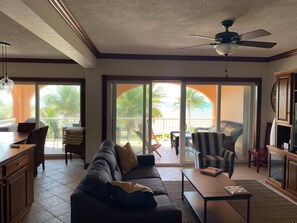 Smart TV, DVD player, books