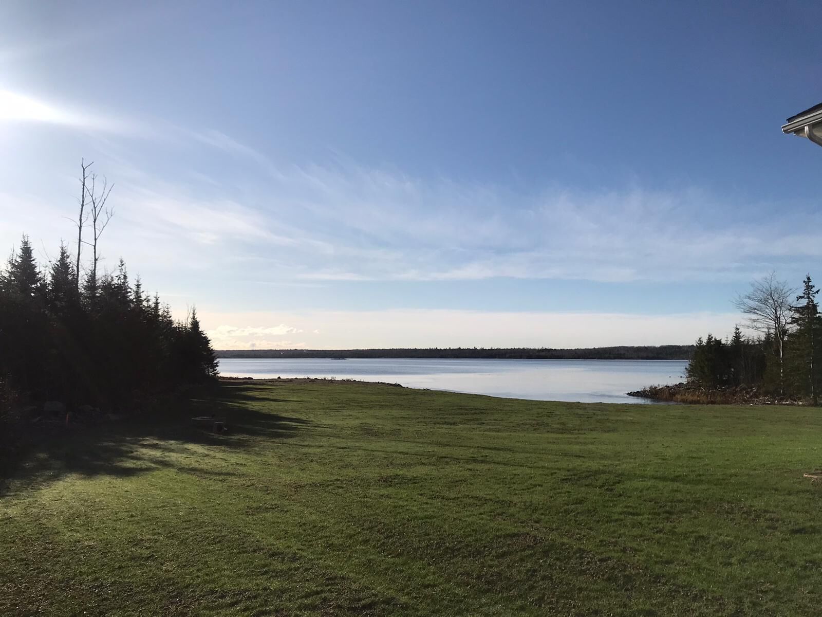 A grassy field with a lake and trees in the background.