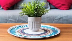 A living room with a grey sofa, red cushions, a white coffee table, and a potted plant.