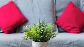 Télévision, espaces bureaux