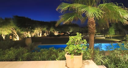 Exceptional villa of 400m2 with private heated pool and its domestic employee