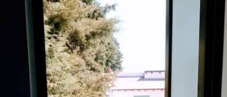 内装