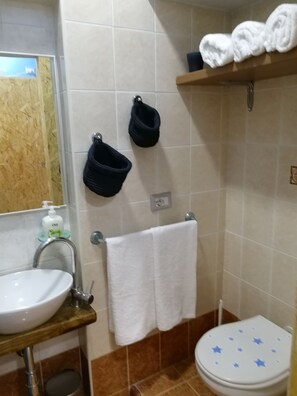 シャワー、ヘアドライヤー、バスローブ、ビデ