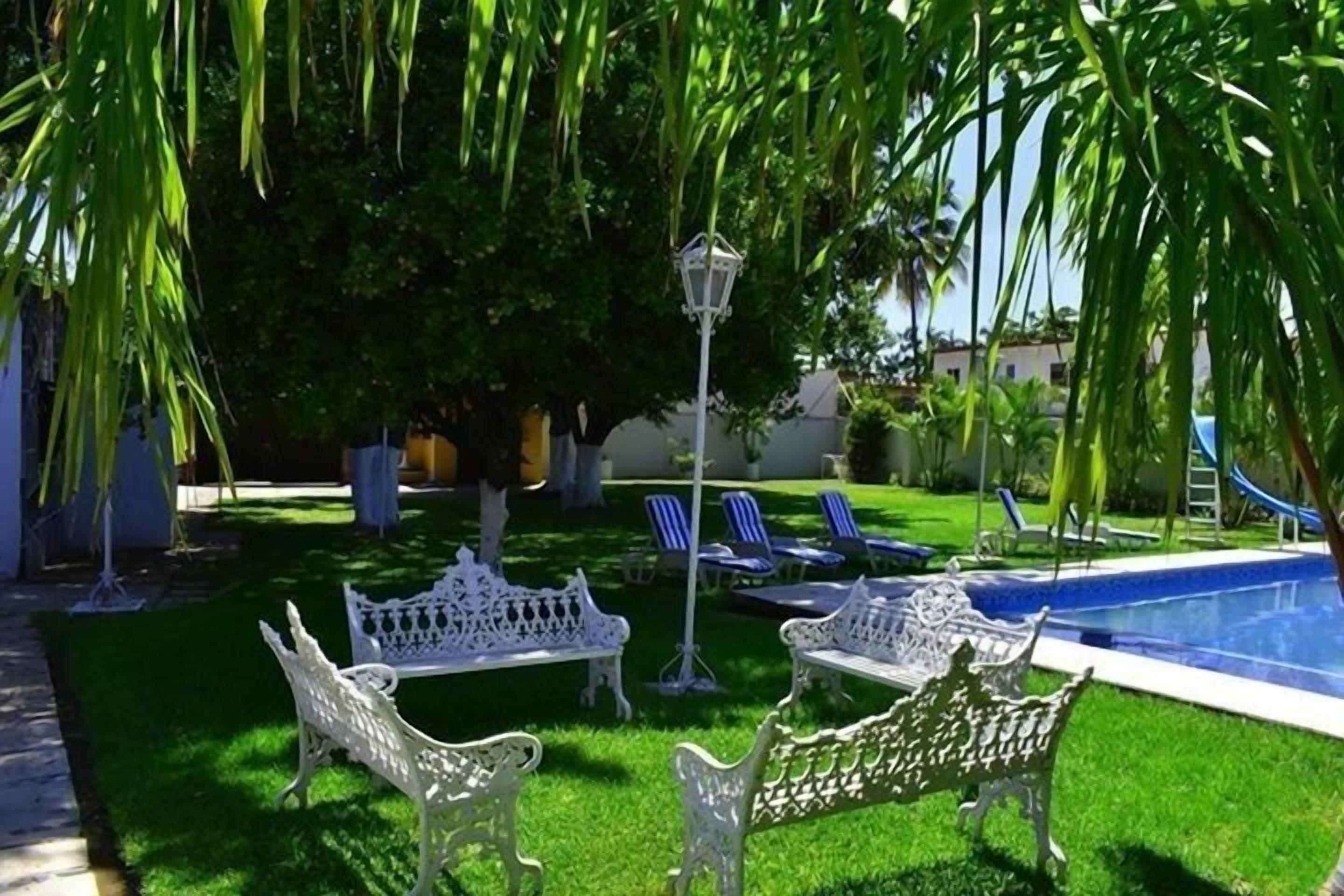 A pool area with white wrought iron benches, a pool, and a palm tree.