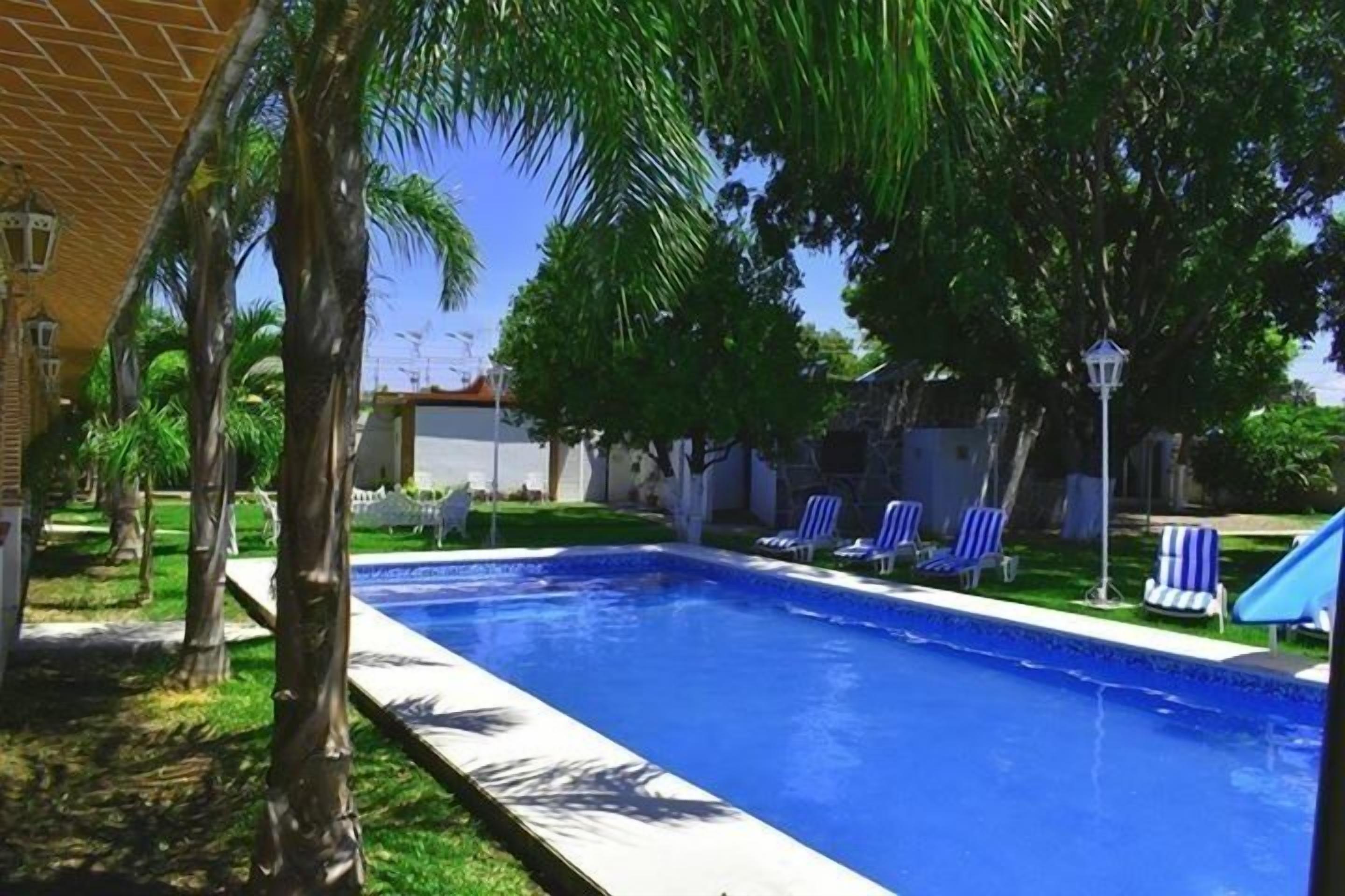 Une piscine rectangulaire à l’eau d’un bleu cristallin, entourée de palmiers et de chaises longues.
