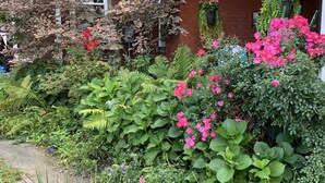 A garden with various plants and flowers in front of a building with a brick facade and a green trim. - The Shepherd's Inn (Washington)
