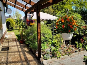 Un chemin de jardin bordé de plantes en pot et agrémenté de suspensions florales.