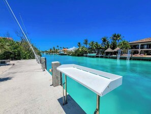 Unclassified image, 2 of 50, button