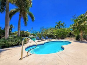 Unclassified image, 5 of 50, button