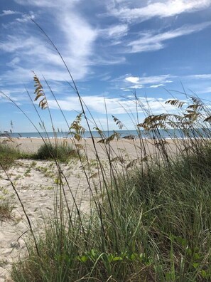On the beach, sun-loungers, beach towels - The Iconic Mulvaine Beach House by the Pier with top viewing for space launches (Cocoa Beach)