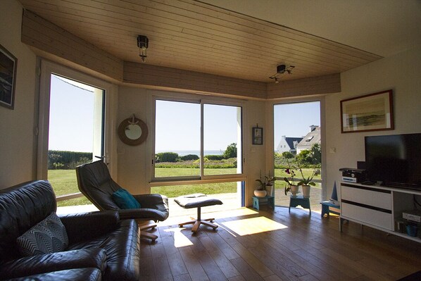 تلفزيون، مشغل دي في دي، كُتُب، مكتبة فيديو