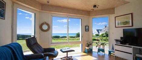 Télévision, lecteur de DVD, livres, vidéothèque