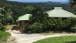 A house with a green roof, surrounded by lush greenery and a view of distant hills.