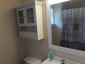 Combined shower/bathtub, hair dryer, towels, soap - Beautiful 4 BR/2BA Private Pool Home Near Weeki Wachee Springs (Spring Hill, Florida, 34608)