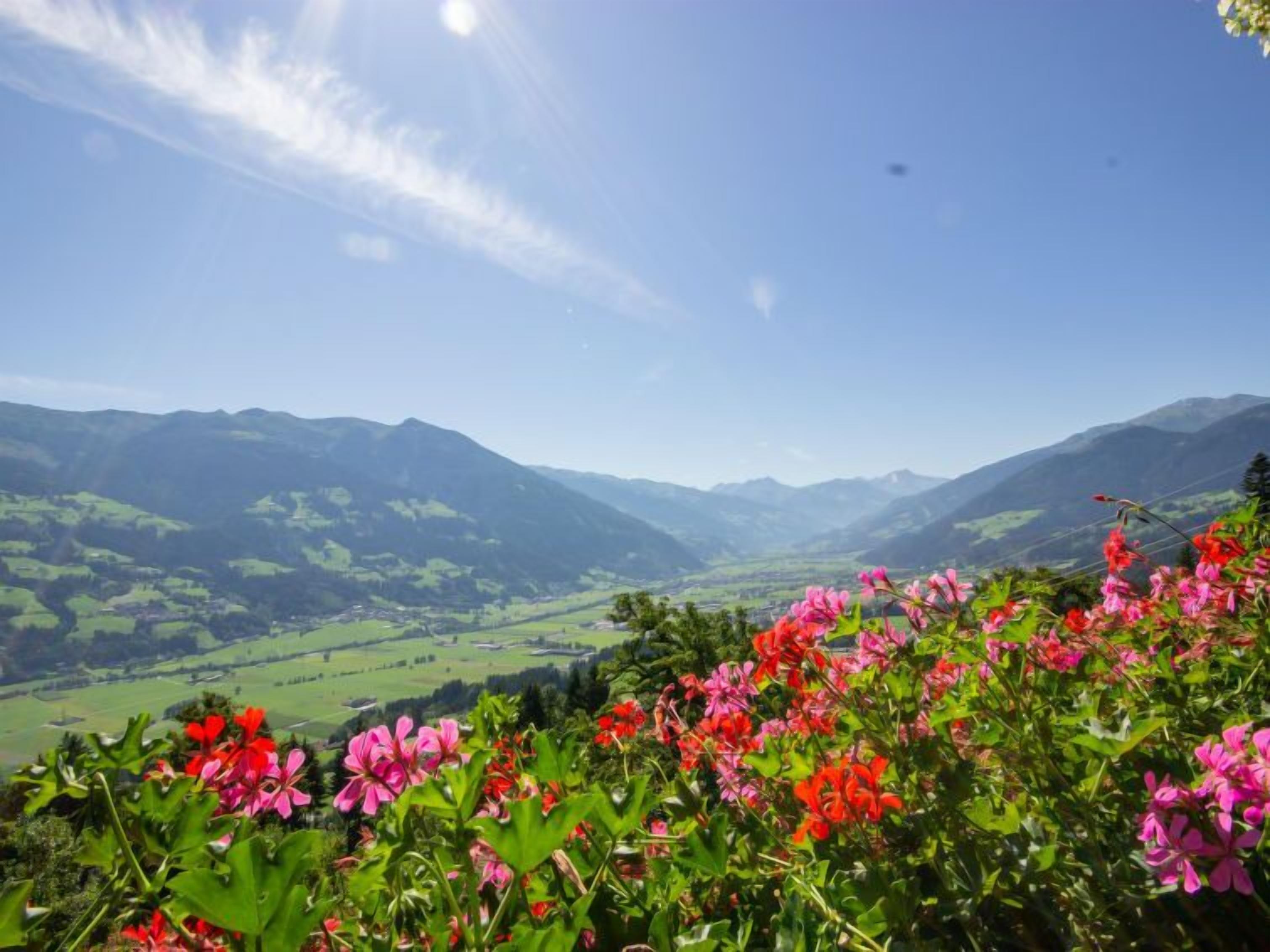 Eine gebirgige Landschaft mit einem Tal und einem Vordergrund voller bunter Blumen.