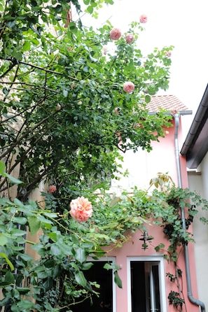 Detalle exterior