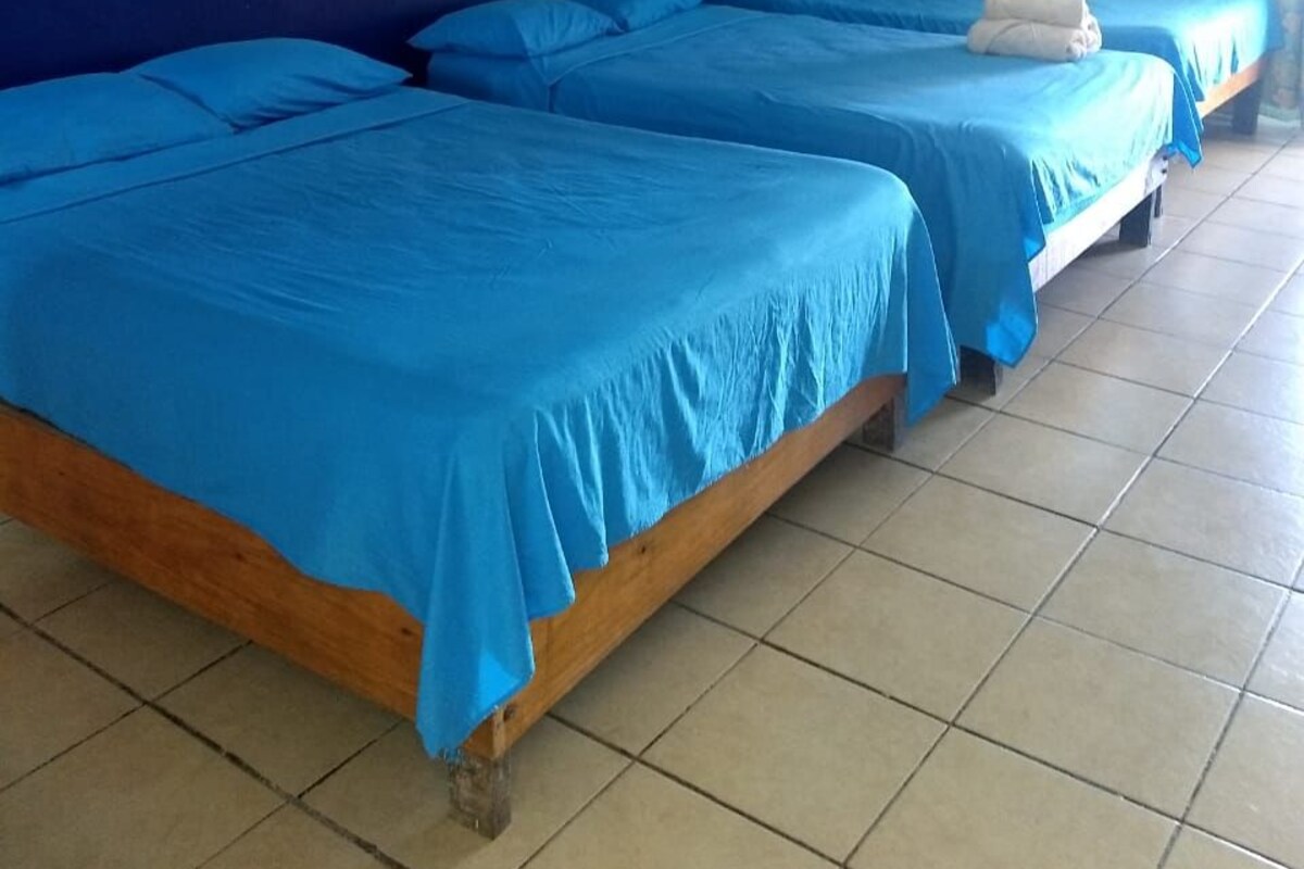 Hotellihuone, jossa on kaksi sänkyä, sininen seinä ja ikkuna, jossa on verhot.