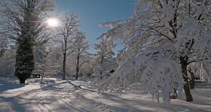 Doppelzimmer 6 - Gasthof Batznhäusl