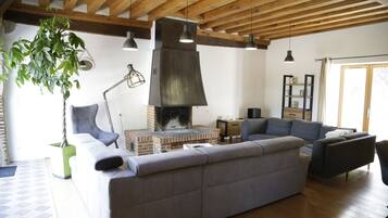 TV connectée, cheminée, lecteur de DVD, livres