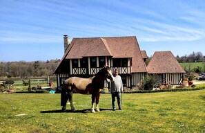 Área da propriedade