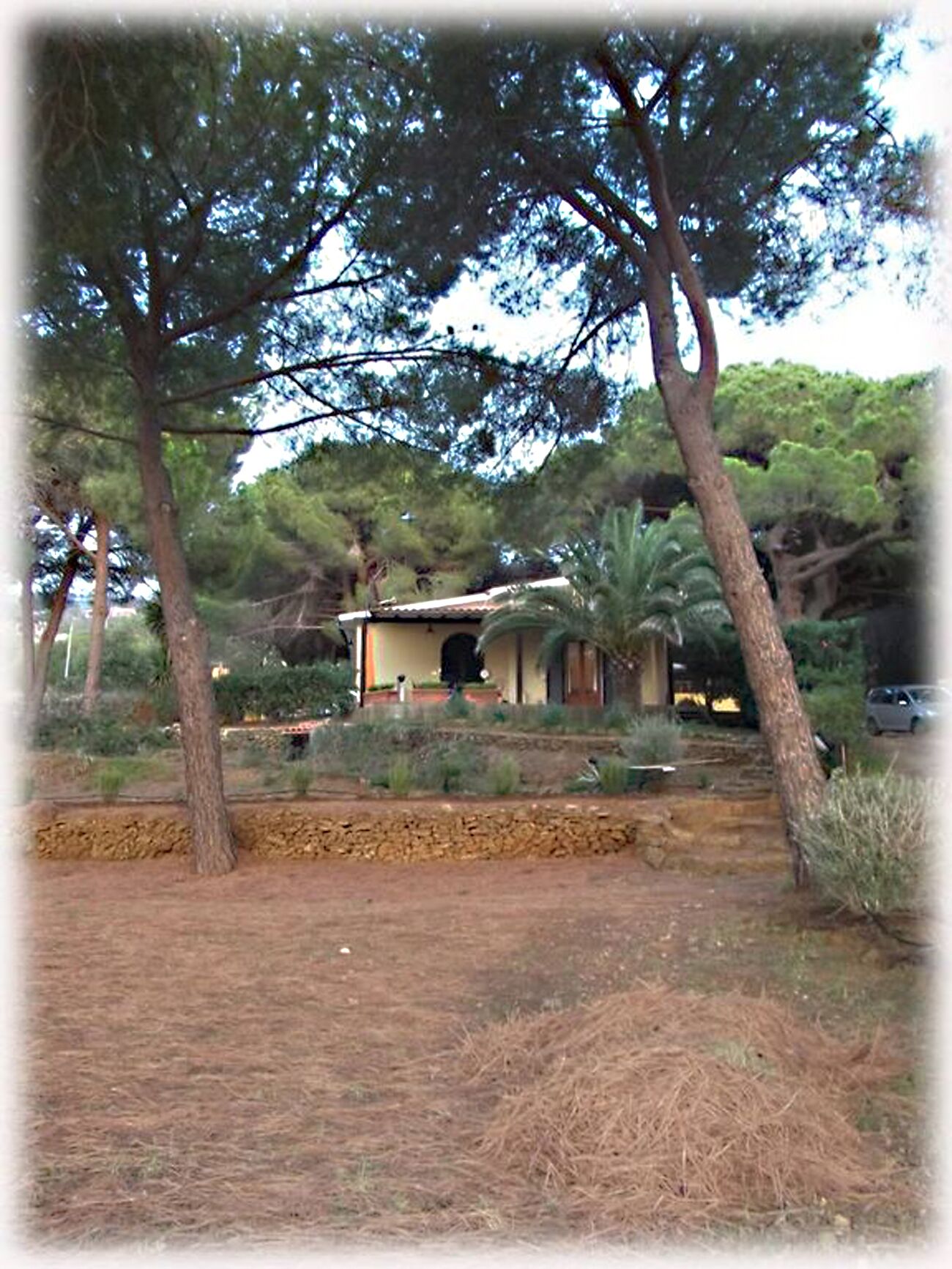 Parco della struttura