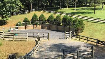 A fenced outdoor area with a gravel path, surrounded by trees and grassy fields.