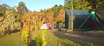 Camp Gopika Baldiyakhan,Nainital Uttarakhand India.