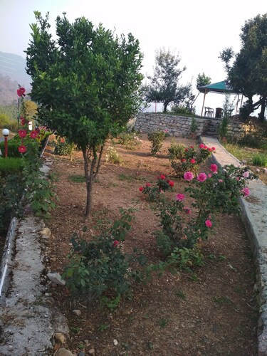 Camp Gopika Baldiyakhan,Nainital Uttarakhand India.